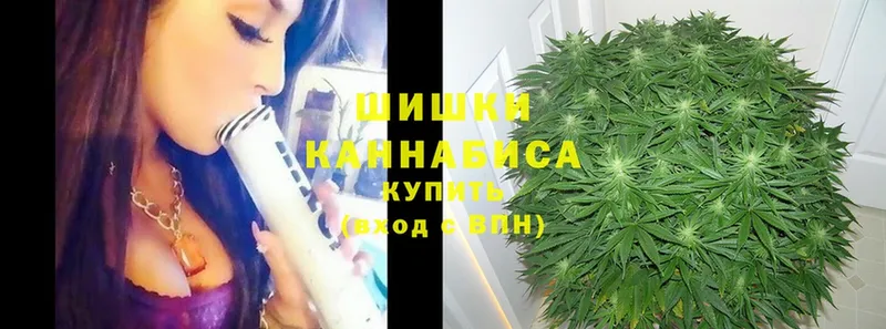 Канабис White Widow  Приволжск 